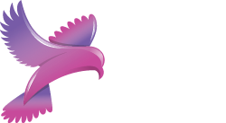 Live 2 Learn